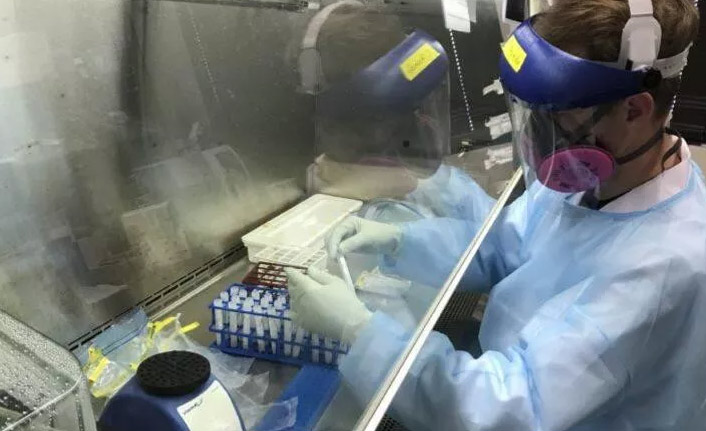 Kediden insana geçen covid-19 vakası tespit edildi