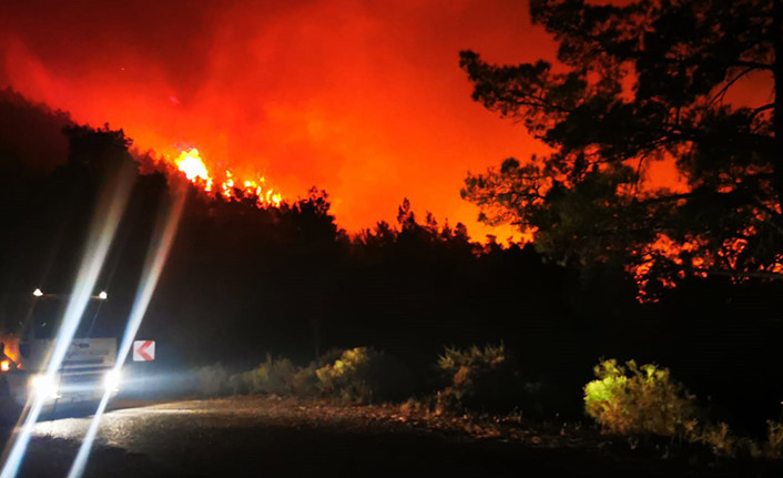 Yangına yüzlerce personel ile müdahale ediliyor