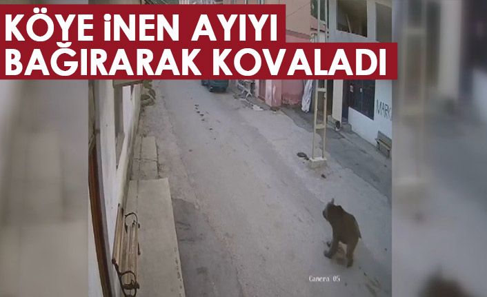 Bayburt'ta karşısına çıkan ayıyı bağırarak korkutup kaçırdı