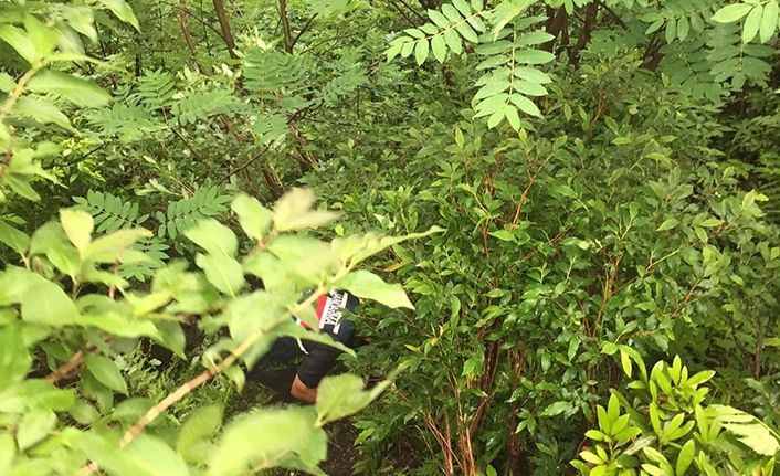 Trabzon'da acı olay! İneği ile birlikte uçuruma yuvarlandı