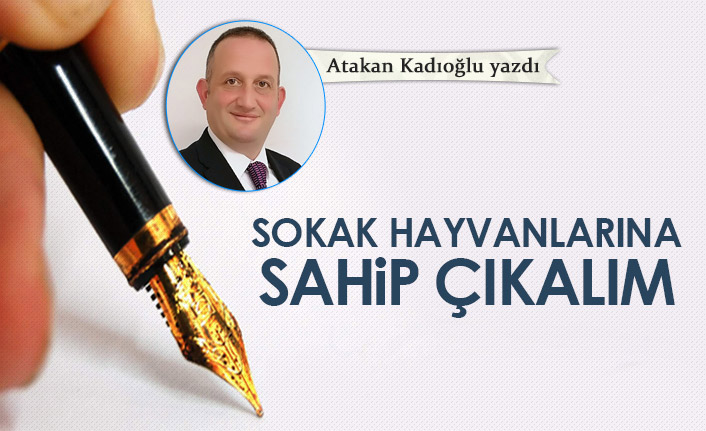 Atakan Kadıoğlu Yazdı "Sokak hayvanların sahip çıkalım"