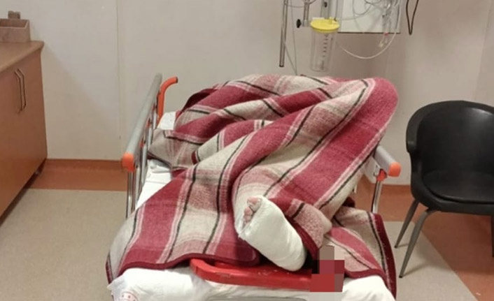 Çekirge, Trabzon polisinden kaçamadı