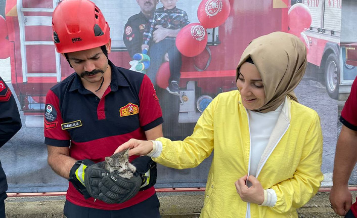 Küçük kediyi kurtarmak için büyük seferberlik