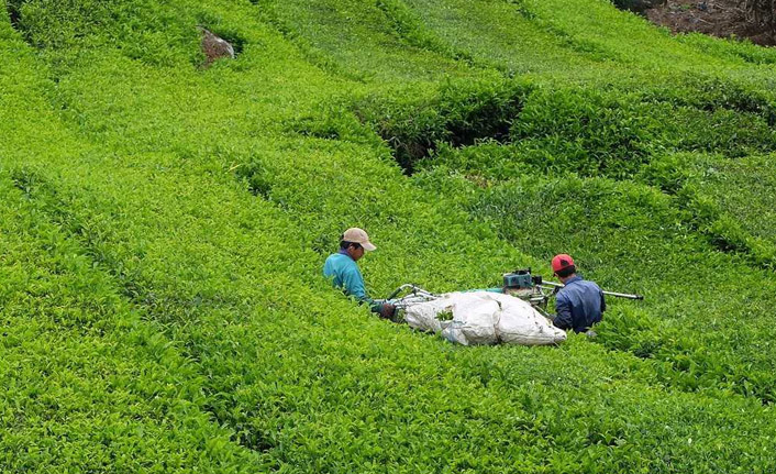 CHP İl Başkanlarından AK Parti’nin Çay Kanunu’na Sert Tepki!