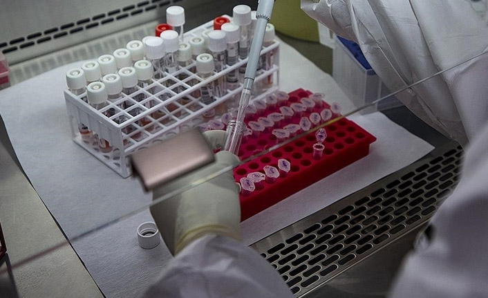 Avrupa'da maymun çiçeği vakaları üçe katlandı