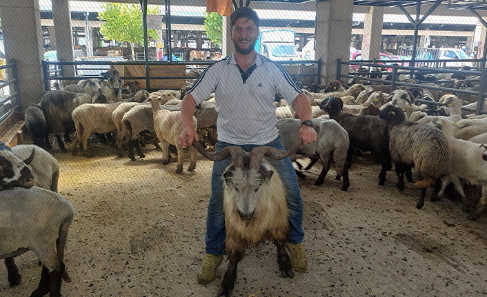 Trabzon'dan götürülen keçi Bursa'da koçlara kafa tutuyor