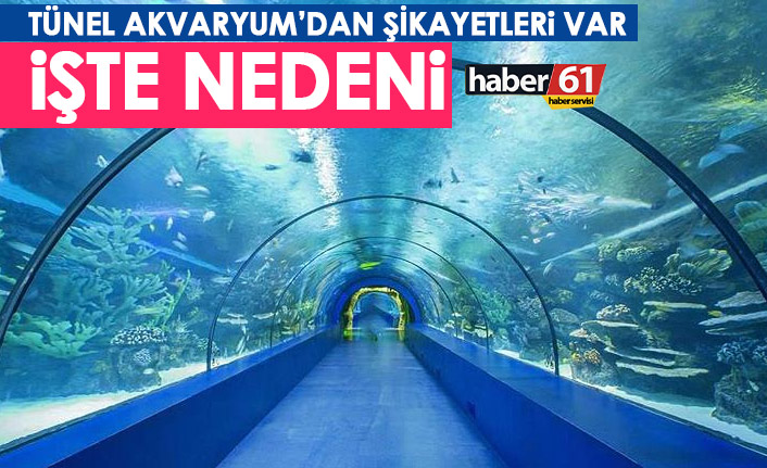 Tünel Akvaryumdan şikayetleri var! İşte nedeni