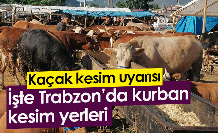 Trabzon'da kurban kesim yerleri belli oldu! Kaçak kesim uyarısı