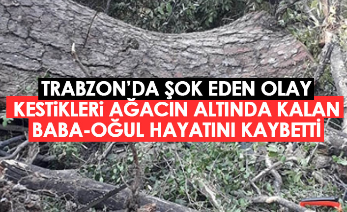 Trabzon'da şok olay! Kestikleri ağacın altında kalan baba oğul hayatını kaybetti
