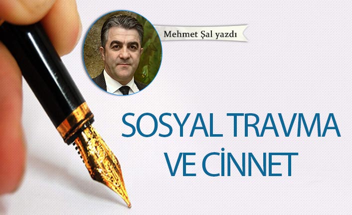 Mehmet Şal Yazdı "Sosyal travma ve cinnet"