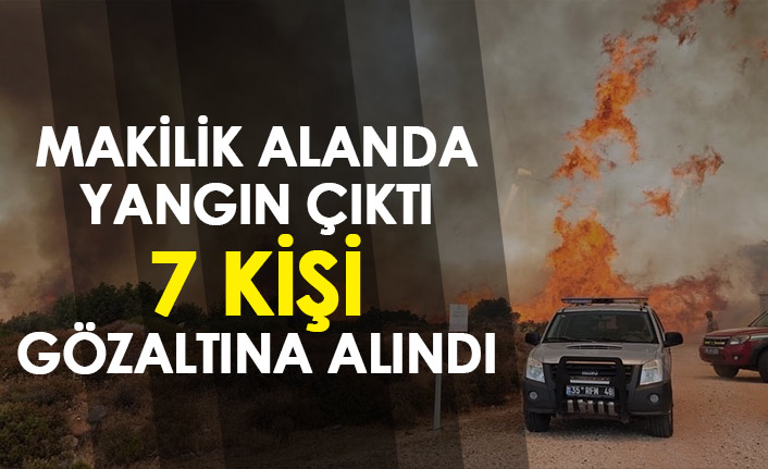 Makilik alanda yangın çıktı, 7 kişi gözaltına alındı - 13 Temmuz 2022