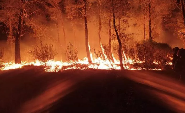 Avrupa kavruluyor! Acil durum ilan edildi