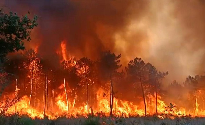 Avrupa'da etkili olan sıcak hava, o ülkede binlerce hektar alanı küle çevirdi