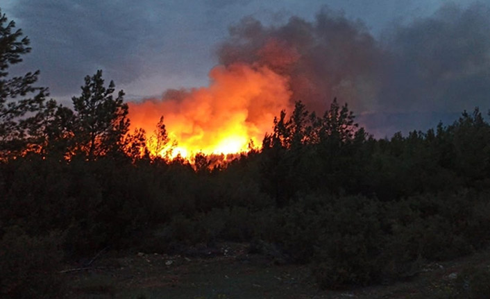 İçişleri Bakanlığı'ndan 81 ilde Orman yangını genelgesi! Ormanlara girişler yasaklandı