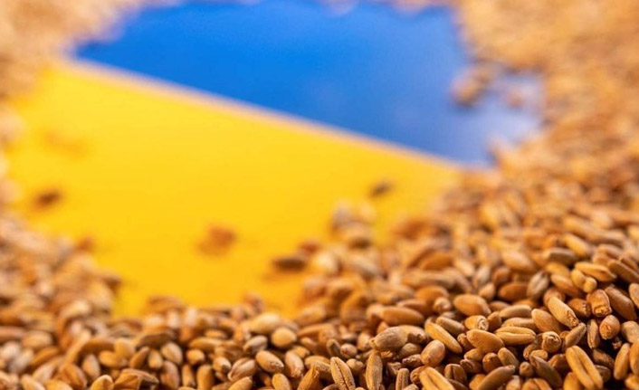 Ukrayna'dan tahıl sevkiyattı için imzalar atılıyor