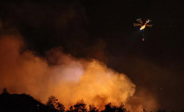 Aydın'da orman yangını