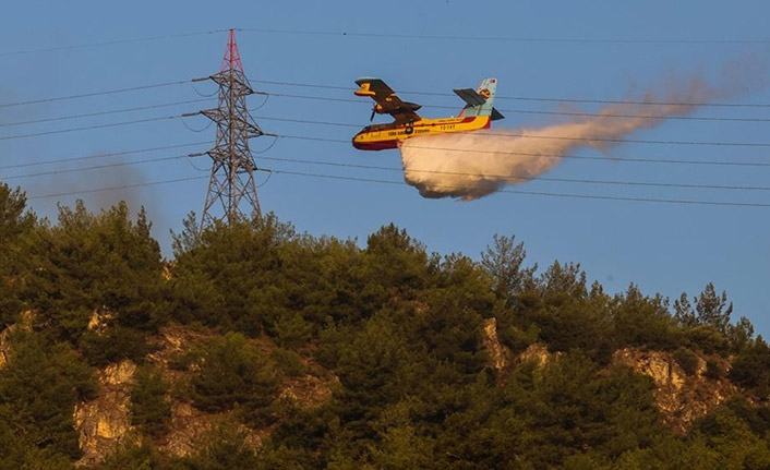Aydın'dan sevindirici haber! Orman yangını kontrol altında