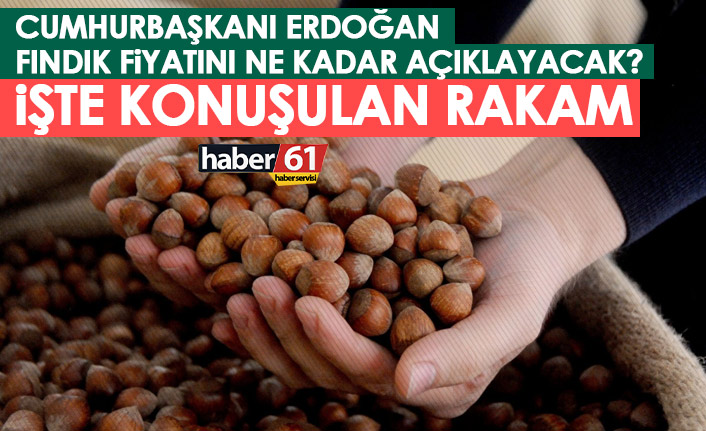 Fındık fiyatı ne kadar olacak? İşte konuşulan rakam!
