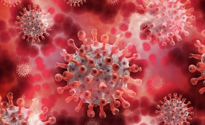 DSÖ'den maymun çiçeği açıklaması! 18 bini aştı