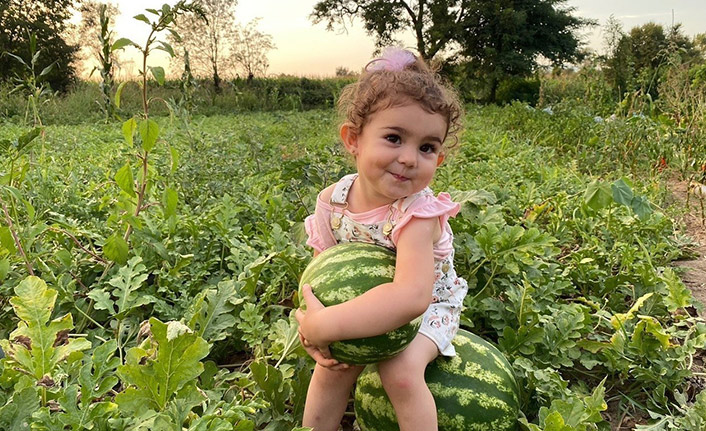 Bunaltıcı sıcaklar vatandaşları sulu meyvelere yönlendirdi