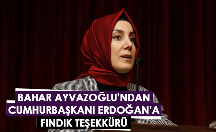Ayvazoğlu'ndan Erdoğan'a Fındık teşekkürü