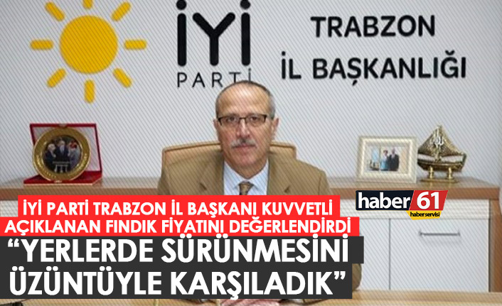 İYİ Parti Trabzon İl Başkanı Kuvvetli: "Fındığın yerlerde sürünmesini üzüntüyle karşıladık"