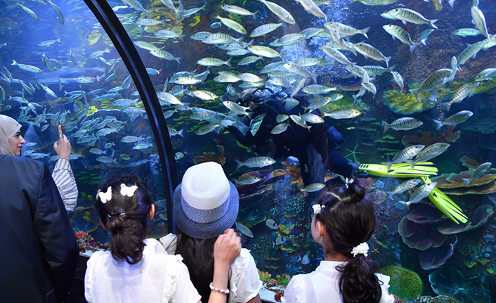 Trabzon Akvaryumu kaç kişi ziyaret etti! Turistler ilgi gösteriyor