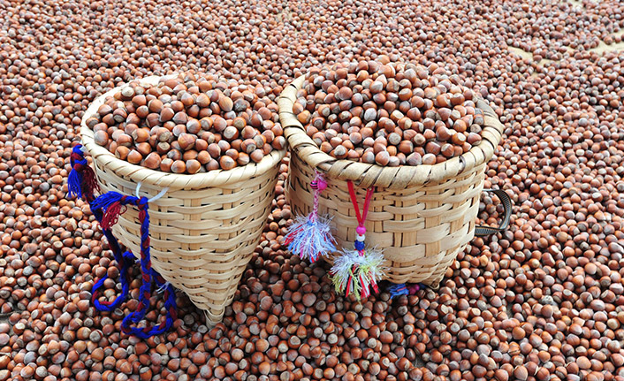 Trabzon Ticaret Borsası'ndan fındık fiyatı değerlendirmesi! "Detaylar hemen açıklanmalı"