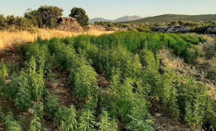 İçişleri Bakanlığı duyurdu 'Eren Abluka-28 Operasyonu' başlatıldı