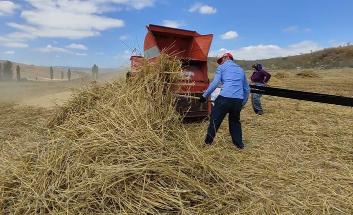 Kışlık yem hazırlıkları hız kesmiyor