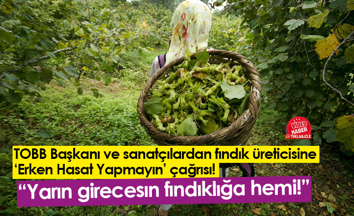 Fındık üreticisine erken hasat uyarısı!