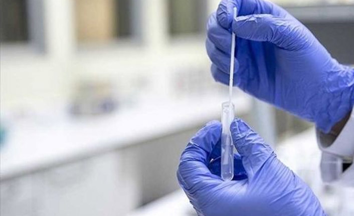 Kovid-19 vakaları geçen hafta dünya genelinde yüzde 9 azaldı