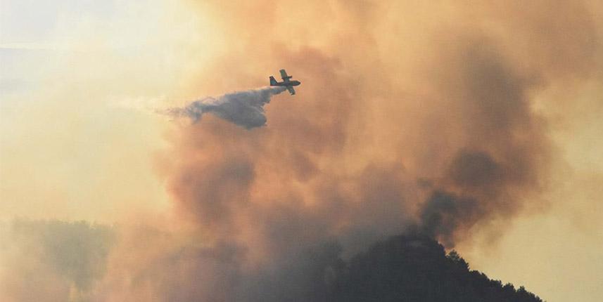 Muğla'daki orman yangını kontrol altına alındı