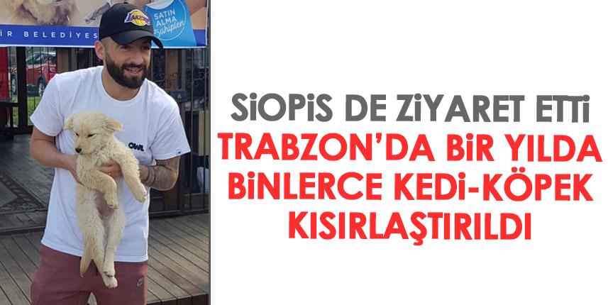 Trabzon'da 1 yılda binlerce kedi ve köpek kısırlaştırıldı