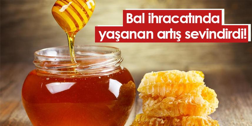 Bal ihracatında yaşanan artış sevindirdi!