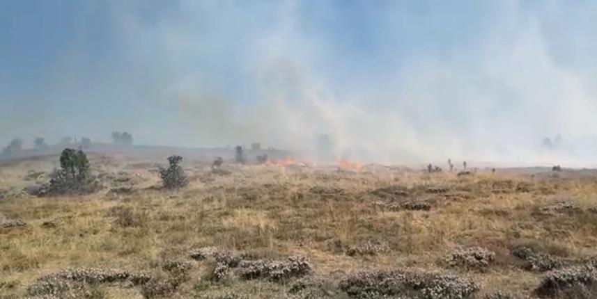 Giresun'da örtü yangını!