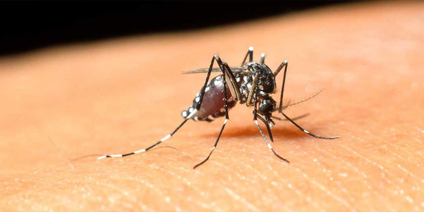 Vakalar arttı! Yetkililer harekete geçti