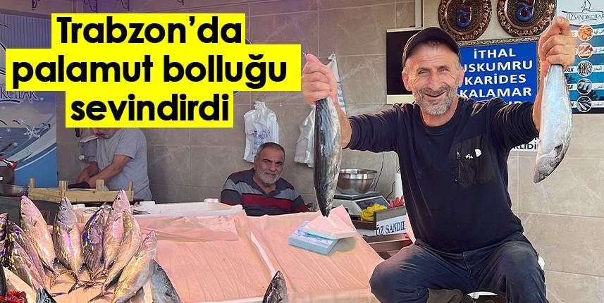 Trabzon'da palamut bolluğu sevindirdi