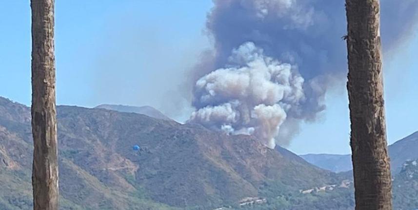 Marmaris'te orman yangını çıktı