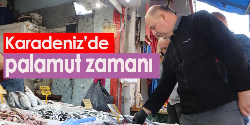 Karadeniz'de palamut zamanı