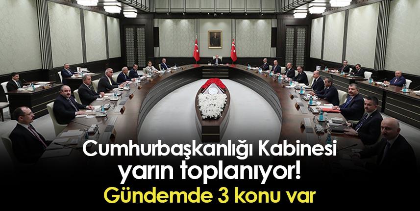 Cumhurbaşkanlığı Kabinesi yarın toplanıyor! Gündemde 3 konu var