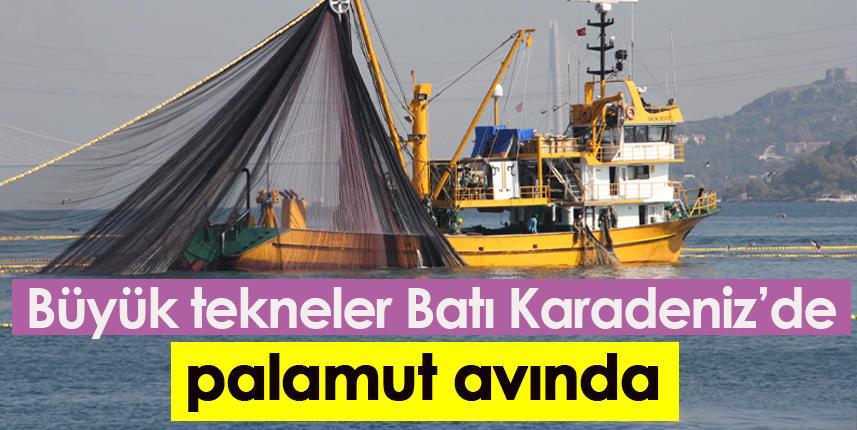 Büyük tekneler Batı Karadeniz'de palamut avında
