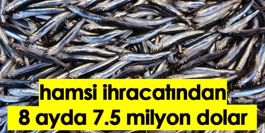 Türkiye hamsi ihracatından 8 ayda 7,5 milyon dolar kazandı