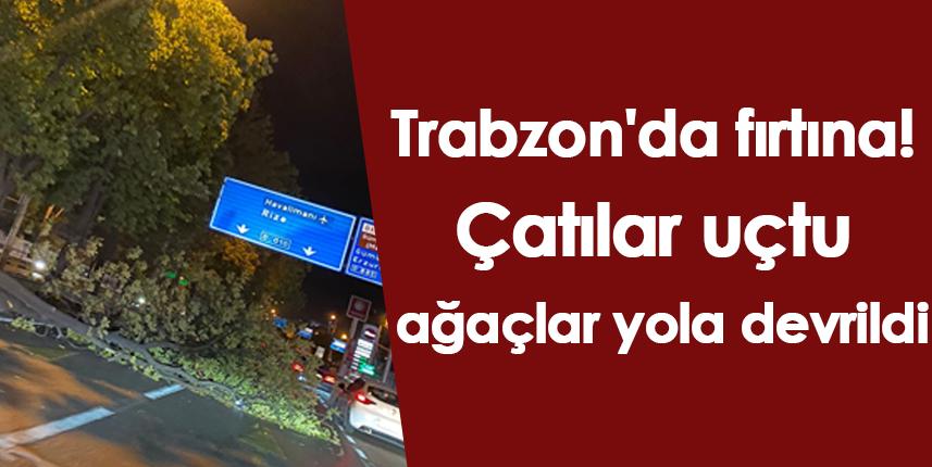 Trabzon'da fırtına! Çatılar uçtu ağaçlar yola devrildi