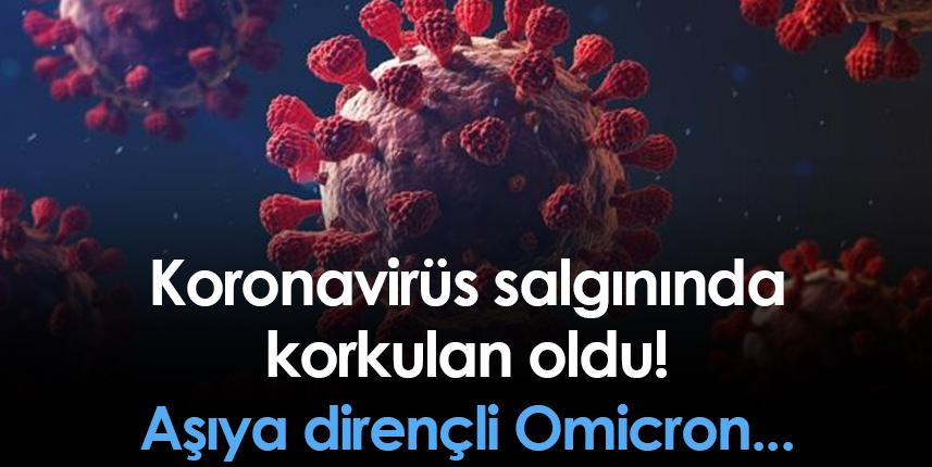 Koronavirüs salgınında korkulan oldu!