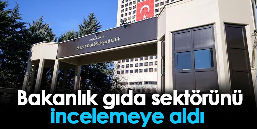 Hazine ve Maliye Bakanlığı gıda sektörünü incelemeye aldı