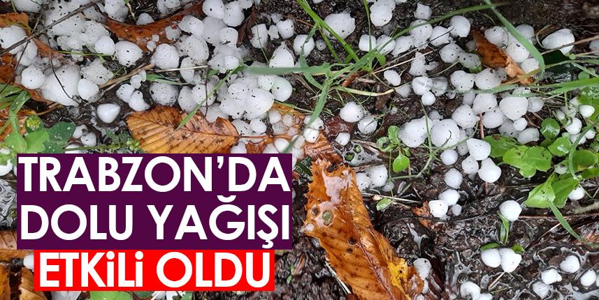 Trabzon'da dolu yağışı etkili oldu