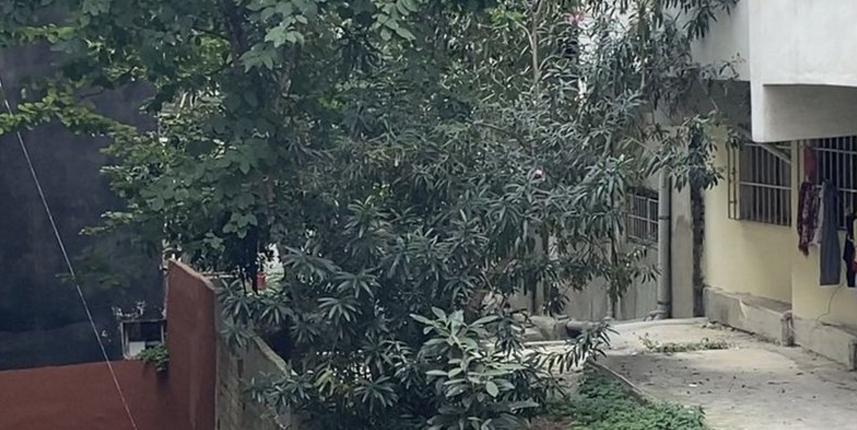 11. kattan düşen kız çocuğu hayatını kaybetti