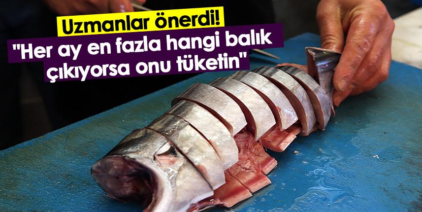 Uzmanlar önerdi! "Her ay en fazla hangi balık çıkıyorsa onu tüketin"