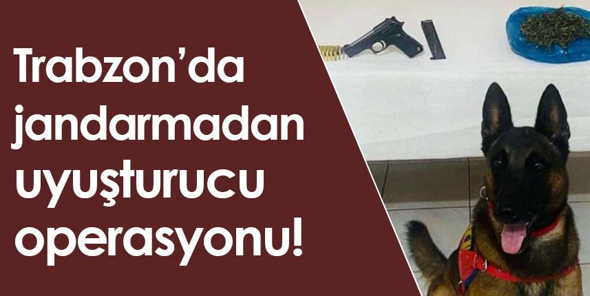 Trabzon’da jandarmadan uyuşturucu operasyonu! - 07 Ekim 2022